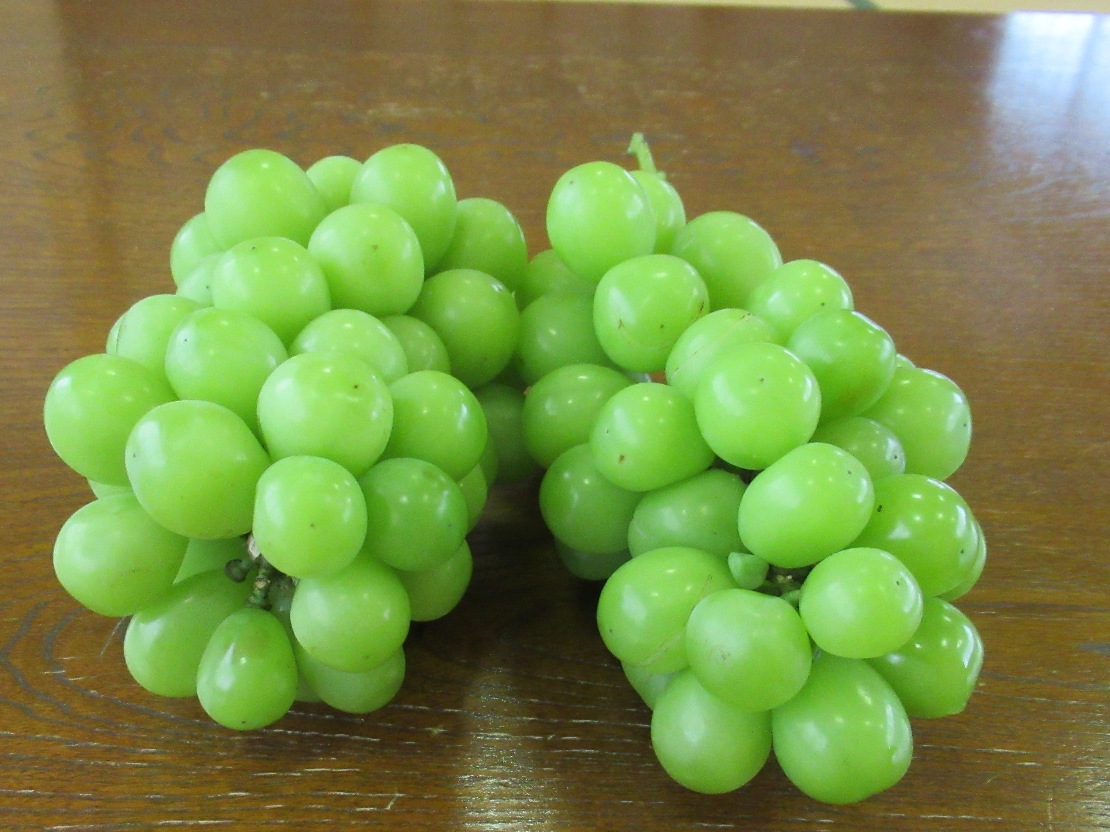 プレゼント事業の写真マスカット